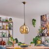 Koyoto hanging light, globe light, pendant light gold, 1-light source
