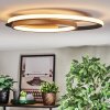 Trapani ceiling light LED gold, black, 1-light source, Remote control