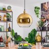 Koyoto hanging light, globe light, pendant light gold, 1-light source