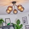 Koyoto ceiling light, globe light 52 cm Smoke-coloured, 5-light sources