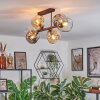 Ripoll ceiling light, globe light Amber, clear, Smoke-coloured, 6-light sources