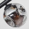 Ripoll ceiling light, globe light Amber, clear, Smoke-coloured, 6-light sources