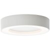 Brillliant Whittaker outdoor ceiling light LED white, 1-light source
