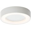 Brillliant Whittaker outdoor ceiling light LED white, 1-light source