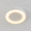 PALEROO outdoor ceiling light LED white, 1-light source