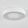 PALEROO outdoor ceiling light LED white, 1-light source