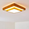 SORA WOOD Ceiling light LED white, 1-light source