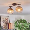 Koyoto ceiling light, globe light clear, Smoke-coloured, 2-light sources