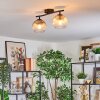 Koyoto ceiling light, globe light Amber, clear, Smoke-coloured, 2-light sources
