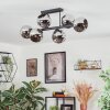Ripoll ceiling light, globe light chrome, Smoke-coloured, 6-light sources