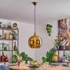 Koyoto hanging light, globe light, pendant light gold, 1-light source