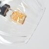 Koyoto ceiling light, globe light 52 cm Amber, clear, Smoke-coloured, 5-light sources