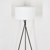 Flemming floor lamp black, 1-light source