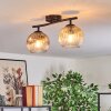 Ripoll ceiling light, globe light Amber, clear, Smoke-coloured, 2-light sources