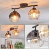 Koyoto ceiling light, globe light Amber, clear, Smoke-coloured, 2-light sources