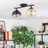 Koyoto ceiling light, globe light Amber, clear, Smoke-coloured, 2-light sources