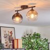 Koyoto ceiling light, globe light Amber, clear, Smoke-coloured, 2-light sources