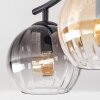 Koyoto ceiling light, globe light Amber, clear, Smoke-coloured, 2-light sources