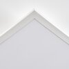 Orain ceiling light, Panel LED white, 1-light source, Colour changer
