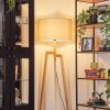 Flemming floor lamp Ecru, black, 1-light source