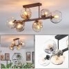 Ripoll ceiling light, globe light Amber, clear, Smoke-coloured, 6-light sources