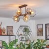 Ripoll ceiling light, globe light Amber, clear, Smoke-coloured, 6-light sources
