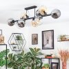 Ripoll ceiling light, globe light Amber, clear, Smoke-coloured, 10-light sources