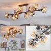 Ripoll ceiling light, globe light Amber, clear, Smoke-coloured, 10-light sources