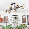 Ripoll ceiling light, globe light Amber, clear, Smoke-coloured, 10-light sources