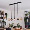 Gastor hanging light, globe light, pendant light Amber, clear, Smoke-coloured, 5-light sources
