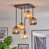 Ripoll ceiling light, globe light Amber, clear, Smoke-coloured, 5-light sources