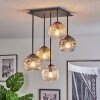 Ripoll ceiling light, globe light Amber, clear, Smoke-coloured, 5-light sources