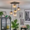 Ripoll ceiling light, globe light Amber, clear, Smoke-coloured, 5-light sources