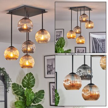 Ripoll ceiling light, globe light Amber, Smoke-coloured, 5-light sources