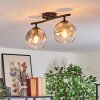 Ripoll ceiling light, globe light Amber, clear, Smoke-coloured, 2-light sources