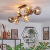 Ripoll ceiling light, globe light Amber, clear, Smoke-coloured, 10-light sources