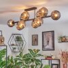 Ripoll ceiling light, globe light Smoke-coloured, 10-light sources