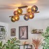 Koyoto ceiling light, globe light 85 cm gold, black, 8-light sources
