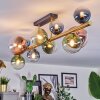 Chehalis ceiling light, globe light gold, black, 10-light sources