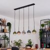 Gastor hanging light, globe light, pendant light blue, chrome, green, clear, coppery, Smoke-coloured, 5-light sources