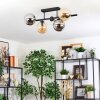 Gastor ceiling light, globe light Amber, clear, Smoke-coloured, 5-light sources