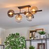 Gastor ceiling light, globe light Amber, clear, Smoke-coloured, 5-light sources