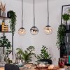 Gastor hanging light, globe light, pendant light Amber, clear, Smoke-coloured, 3-light sources