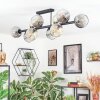 Ripoll ceiling light, globe light Amber, clear, Smoke-coloured, 10-light sources