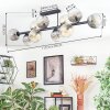 Ripoll ceiling light, globe light Amber, clear, Smoke-coloured, 10-light sources