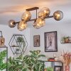 Ripoll ceiling light, globe light Amber, clear, Smoke-coloured, 10-light sources