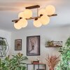 Gastor ceiling light, globe light gold, black, 8-light sources