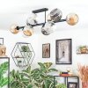 Ripoll ceiling light, globe light Amber, clear, Smoke-coloured, 10-light sources