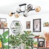 Ripoll ceiling light, globe light Amber, clear, Smoke-coloured, 10-light sources