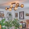 Ripoll ceiling light, globe light Amber, clear, Smoke-coloured, 10-light sources